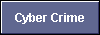  Cyber Crime 