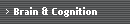 Brain & Cognition