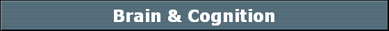 Brain & Cognition