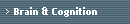 Brain & Cognition