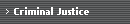 Criminal Justice