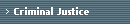 Criminal Justice