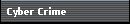 Cyber Crime