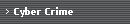 Cyber Crime