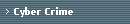 Cyber Crime